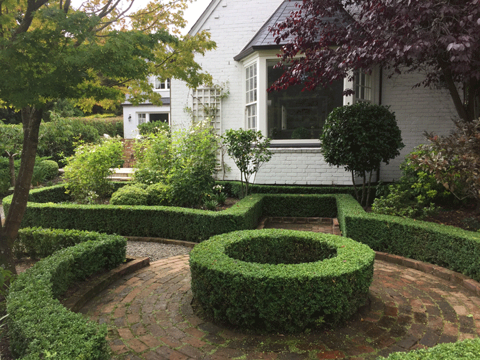 shaped hedge garden courtyard